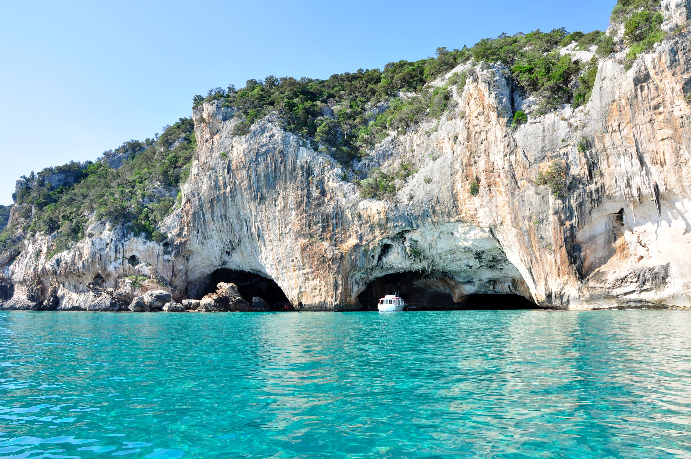 idealic coves